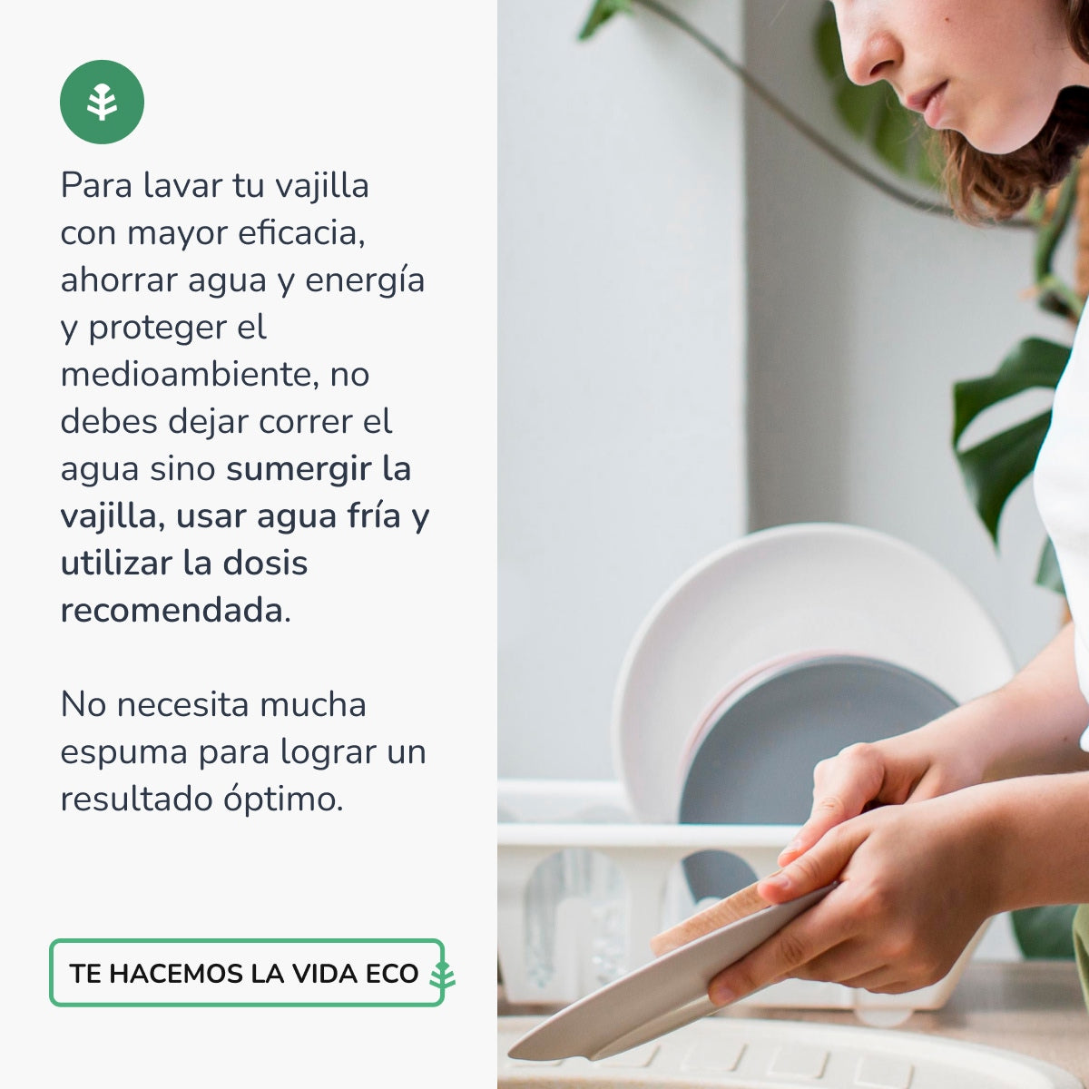 Manual Dishwasher Hypoallergenic Unscented Eco Planeta Huerto 5l