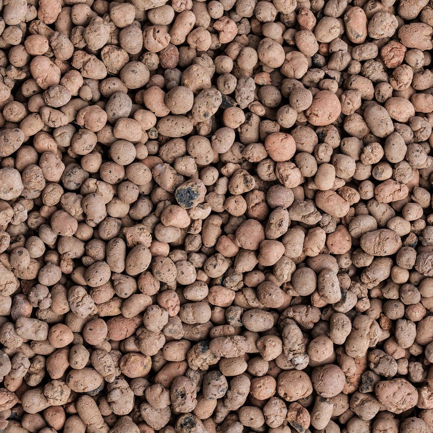 Pack 15 L 3 x Expanded Clay Planeta Huerto 5 Litres