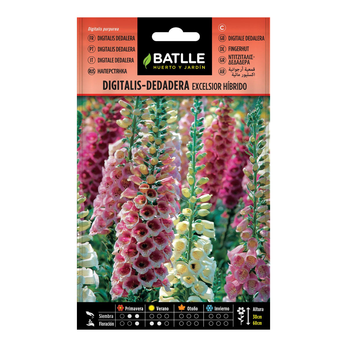 Semi di Digitalis Dedalera excelsior ibrido Batlle