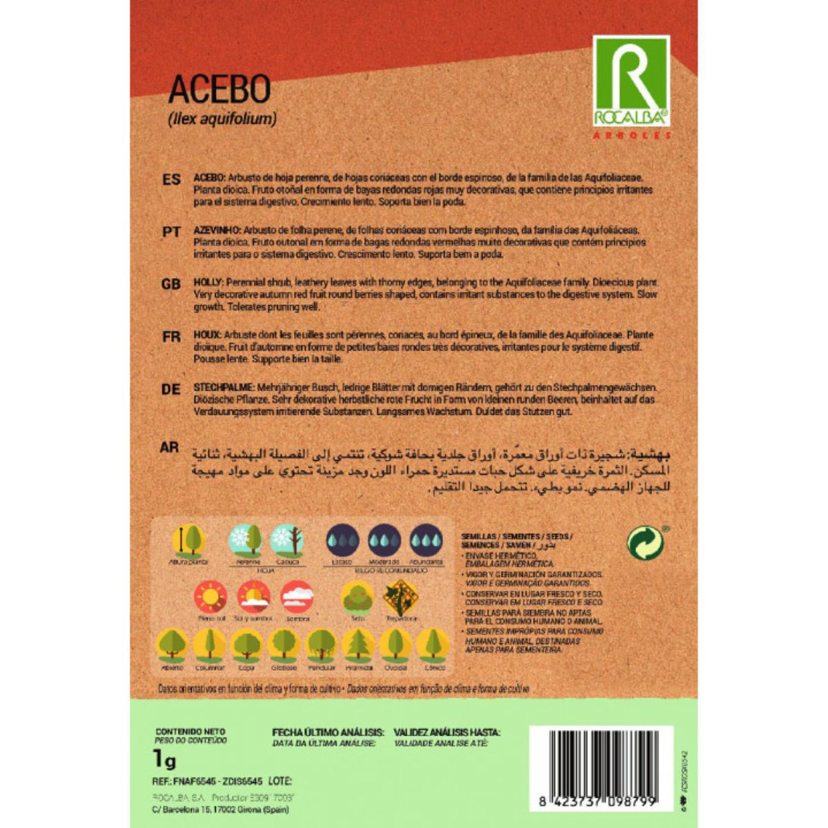 Semillas de Acebo Ilex aquifolium