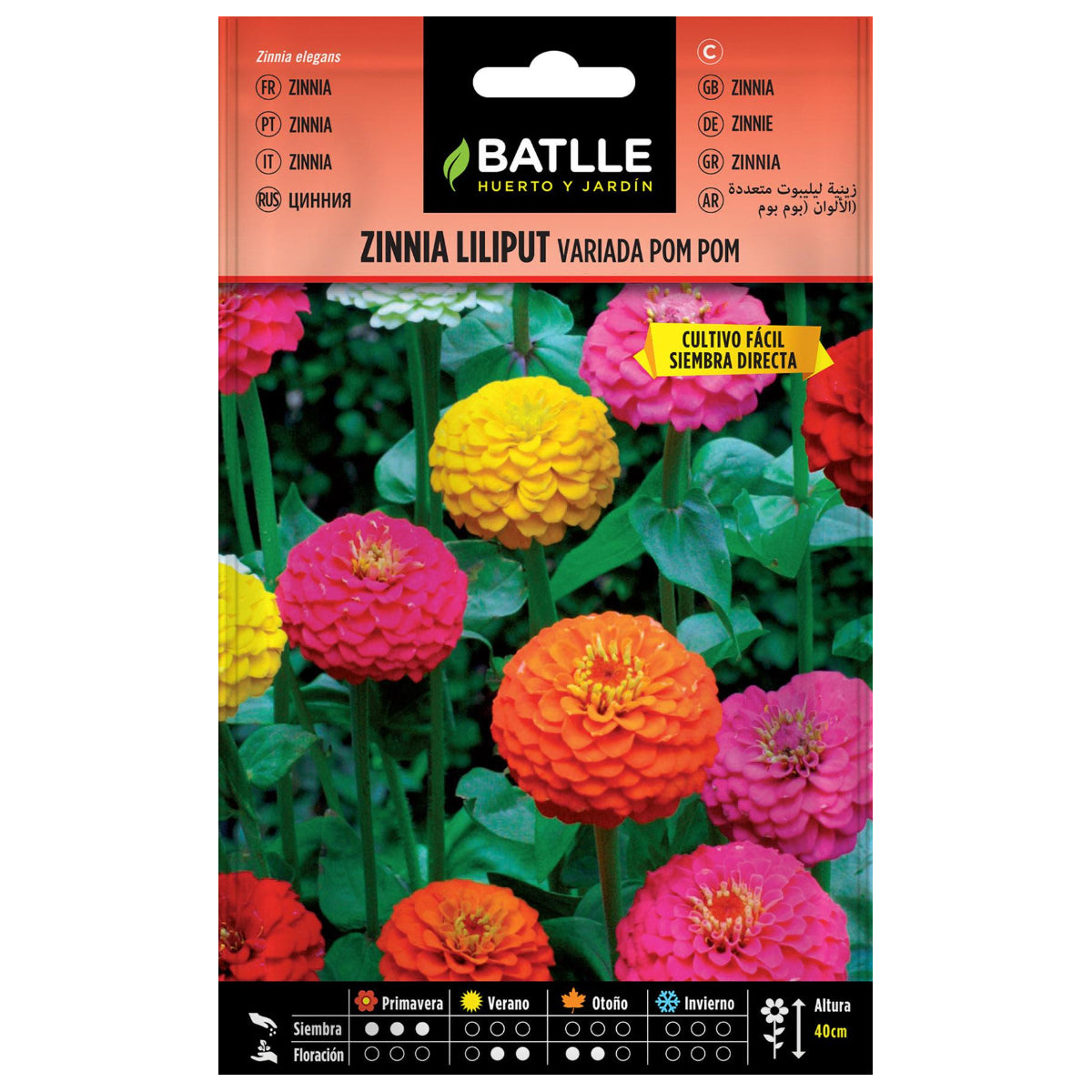 Zinnia Liliput-frön, blandade Pom Pom Batlle