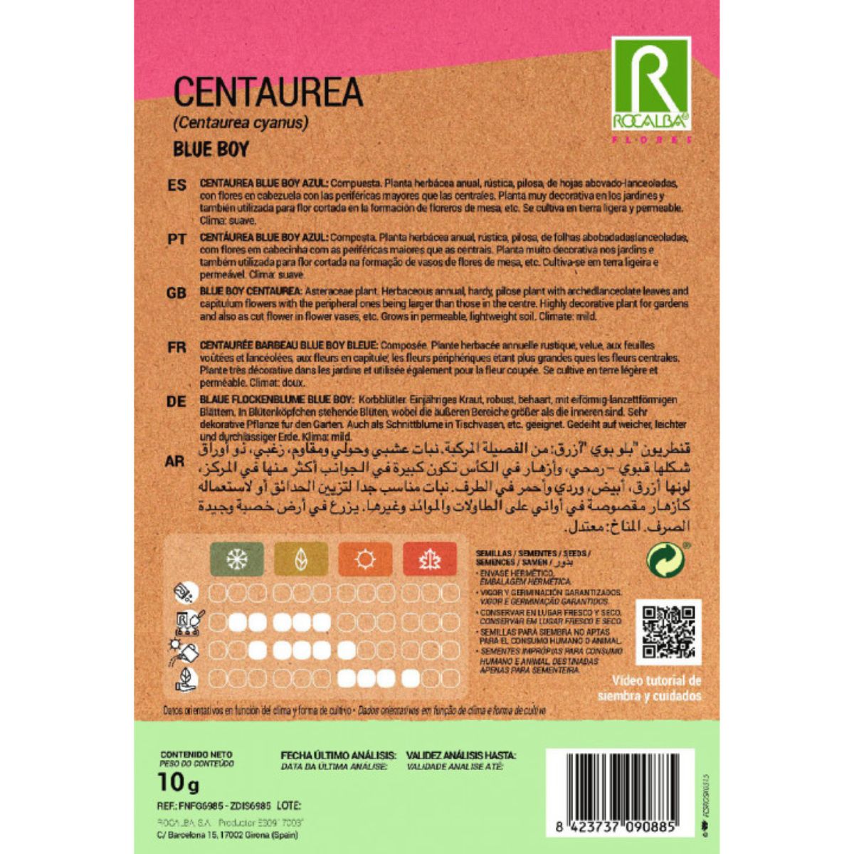 Centaurea blue boy seeds, blue