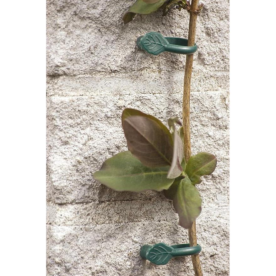 Pince pour plantes grimpantes avec clou Biotop 8 pièces