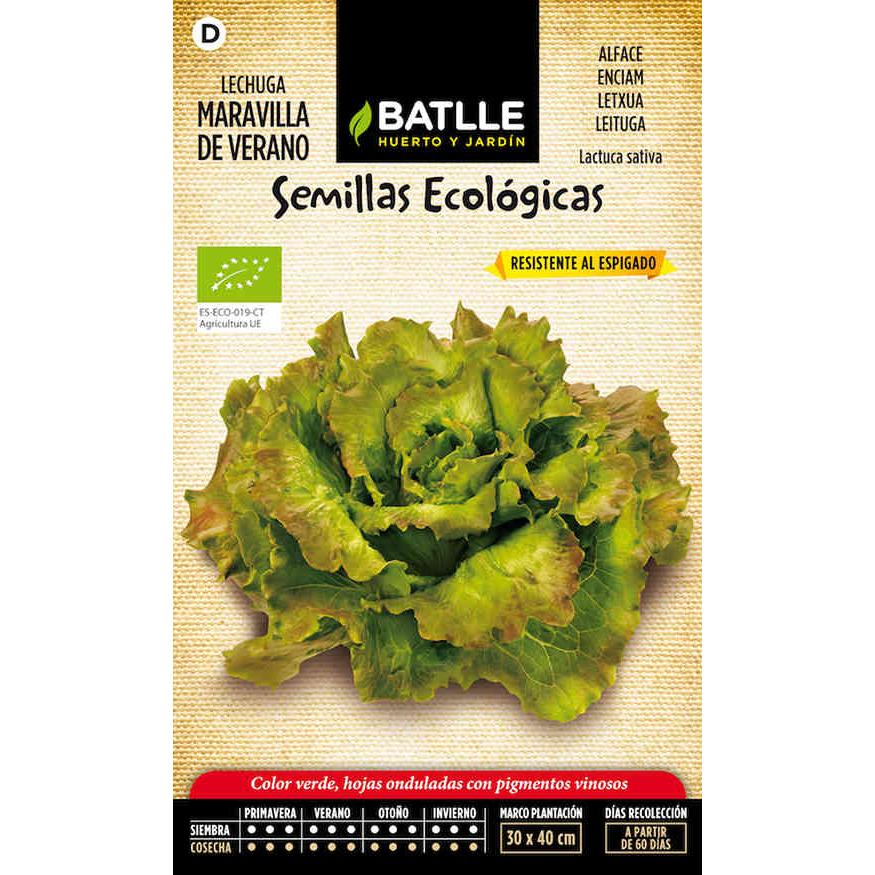Organic Summer Wonder Lettuce Seeds
