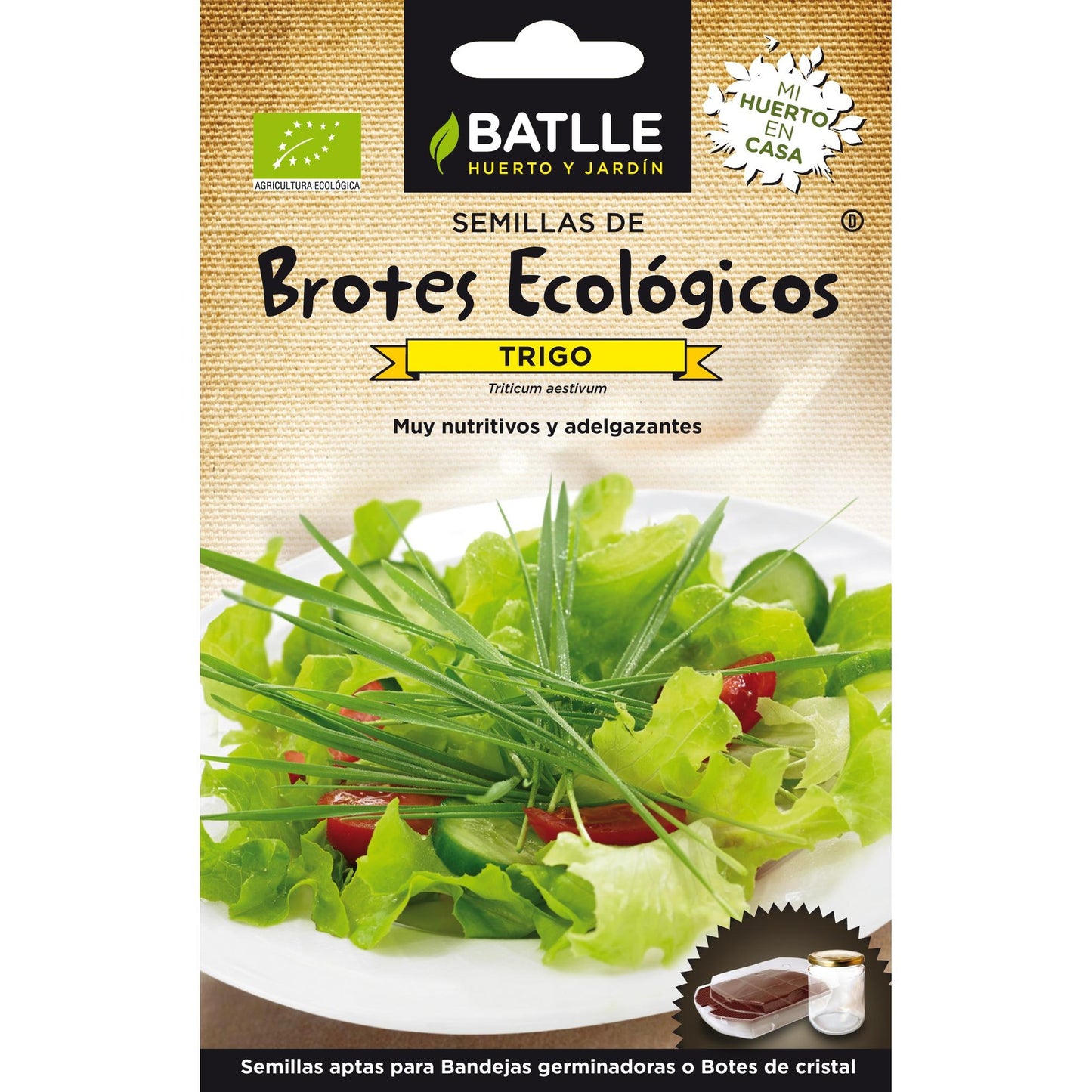 Semi di grano biologici per germogli Batlle
