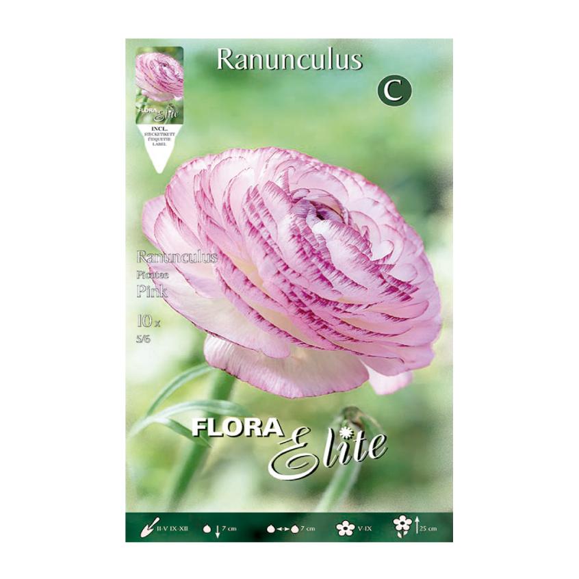 Bulbi Ranuncolo rosa 10 pz