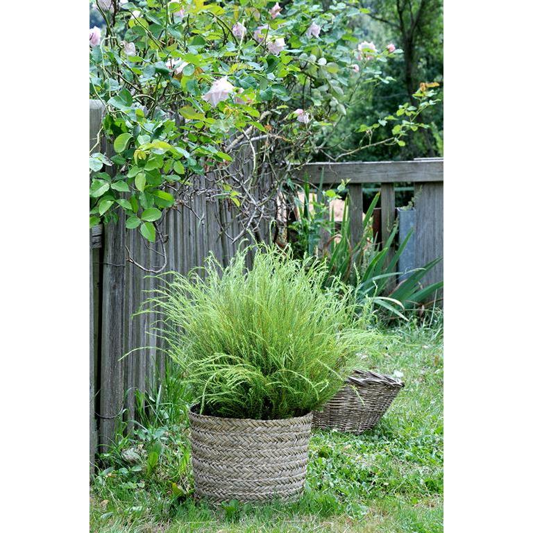 Coprivaso Basket Rinia Natural 35x32 cm