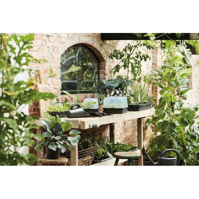 Copertura per serra per vassoio di coltivazione Green basics Elho L