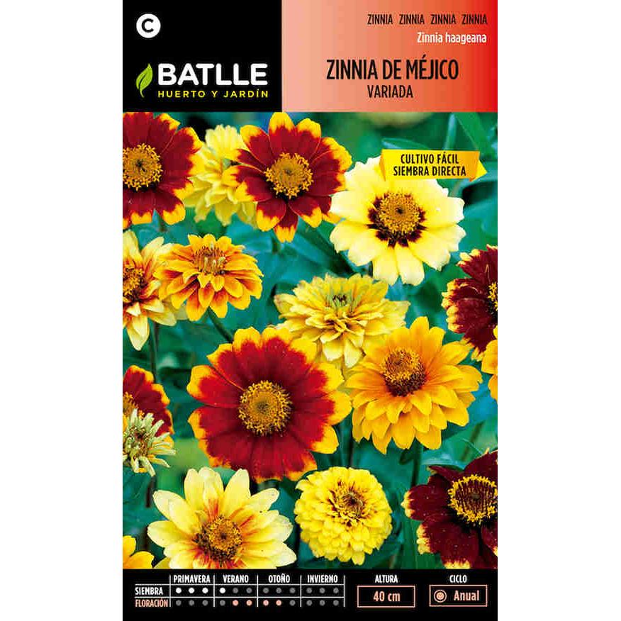 Semi di zinnia messicana assortiti Batlle