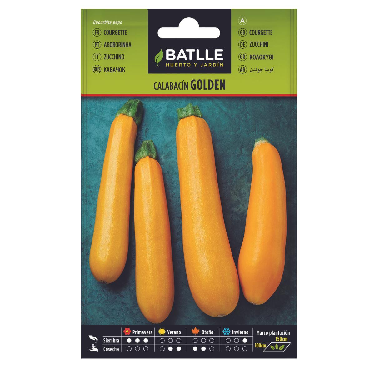 Graines de courgette Golden Batlle