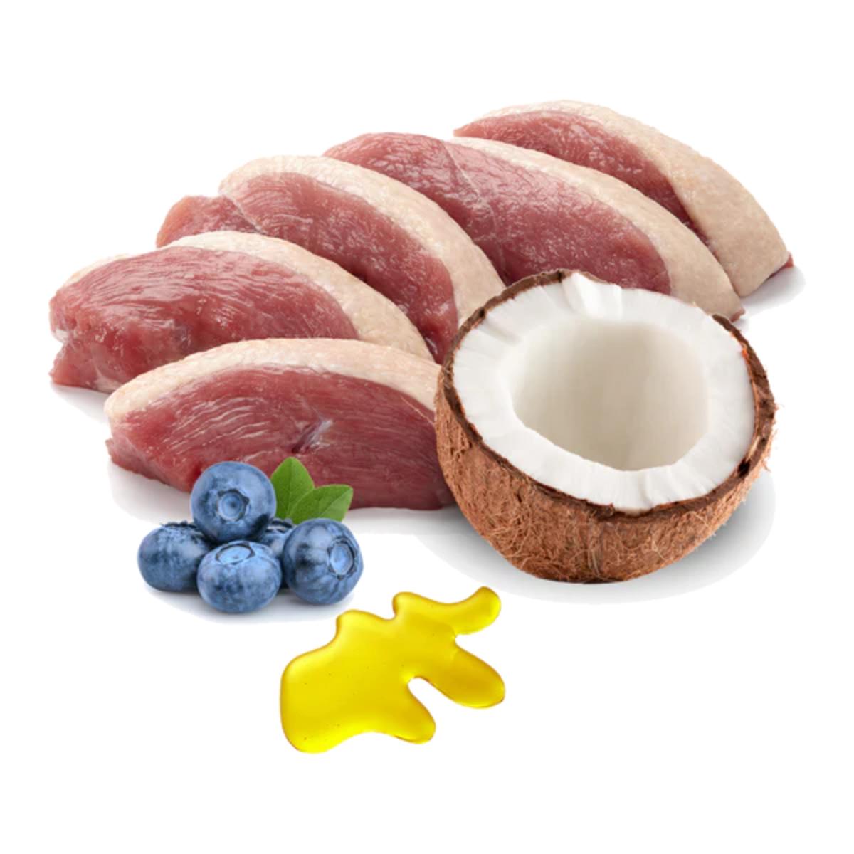 Barf natvoer voor katten Ronroneos sin fin (Eend) BIO Puromenu 100 g