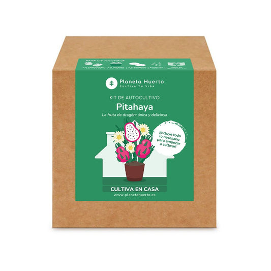 Drachenfrucht Pitahaya Bausatz für den Selbstanbau Planeta Huerto