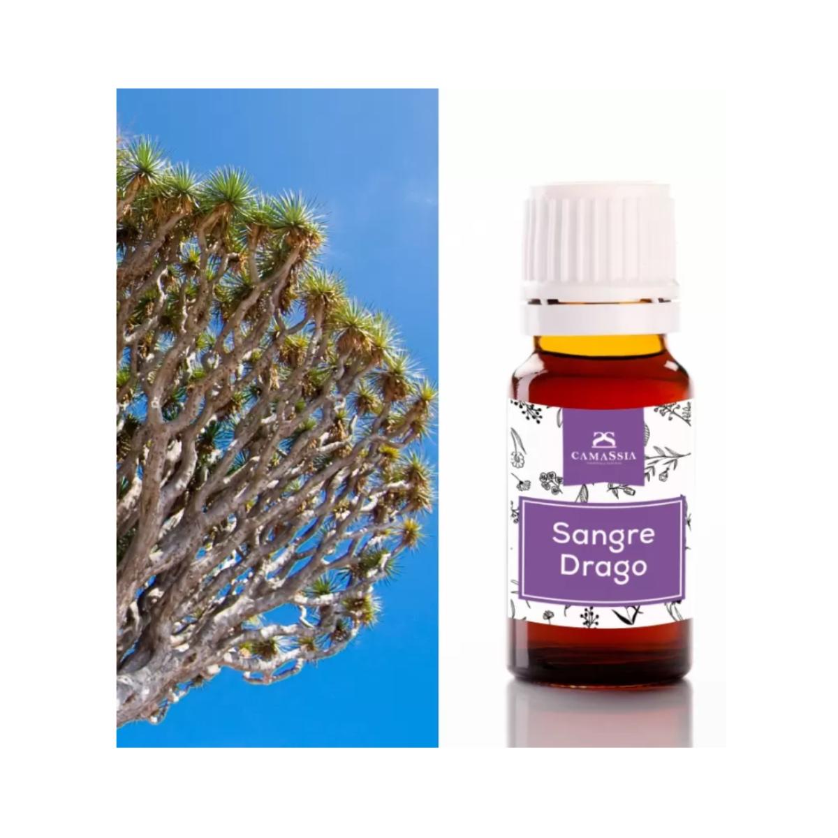 Drake (Sangre de grado). Camassia 10 ml