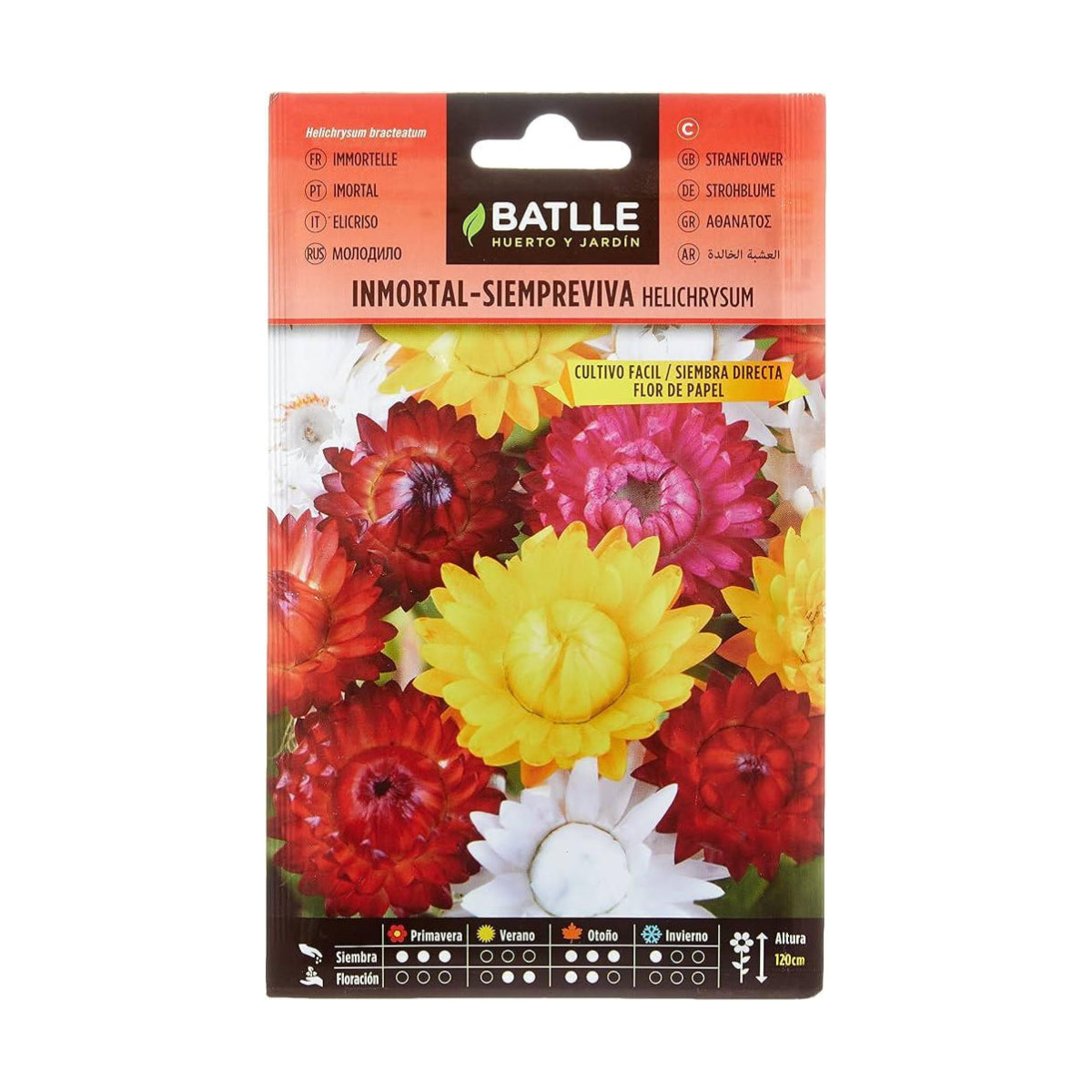 Samen der Immortelle Immergrüne Papierblume Batlle