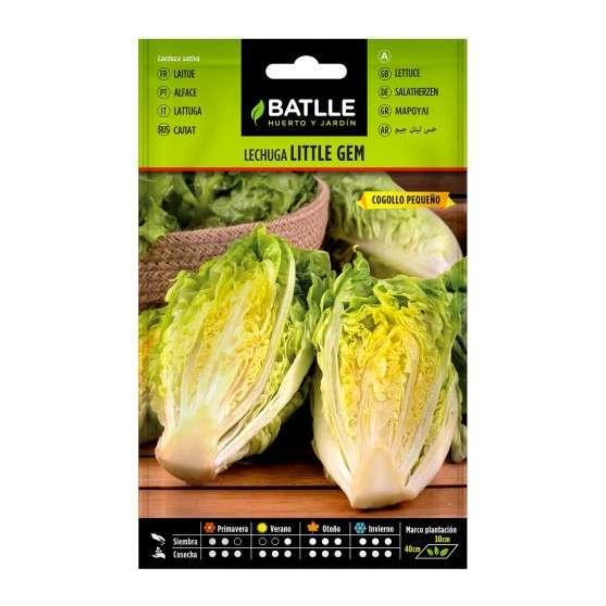 Little Gem Lettuce Seeds Batlle