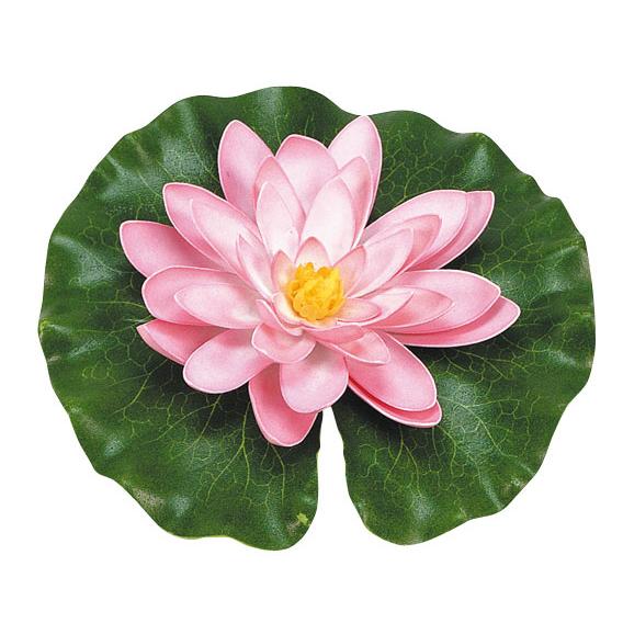 Ninfea rosa con gocce