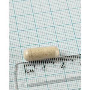 Confezione da 2 Digestizyme Enzimi digestivi, Lamberts, 100 capsule