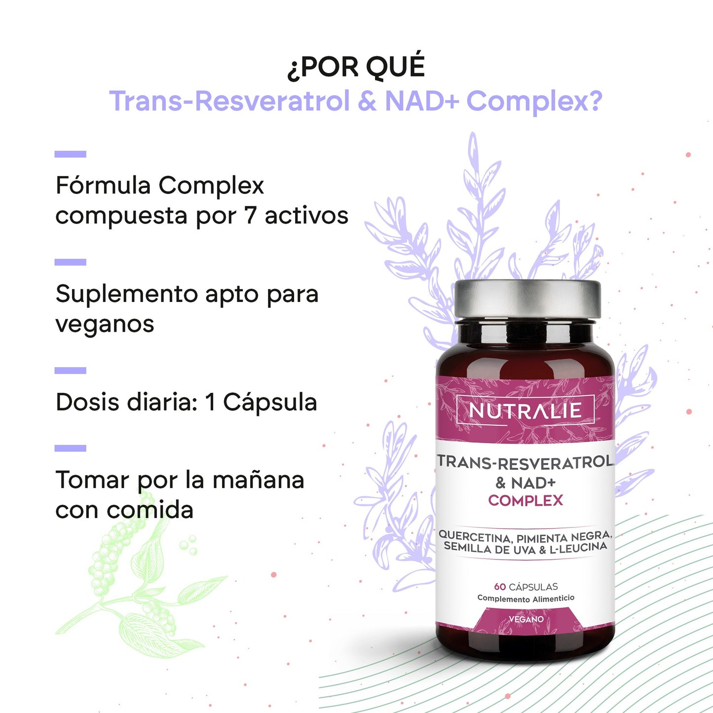 Nutralie Trans Resweratrol i NAD+ Complex 686 mg 60 kapsułek