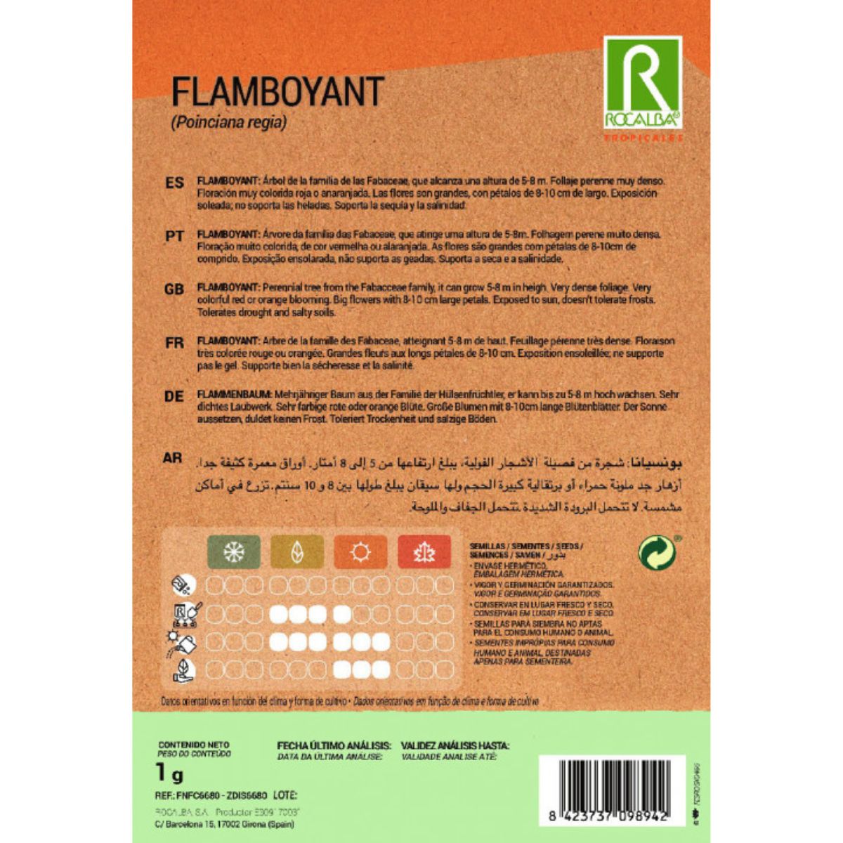 Frön från Flamboyant Ponciana regia