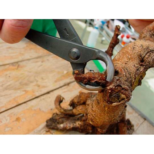 Concave scoop 210 mm