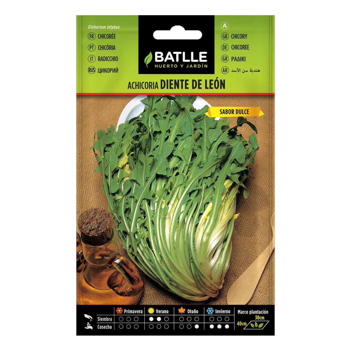 Nasiona cykorii mniszka lekarskiego Batlle