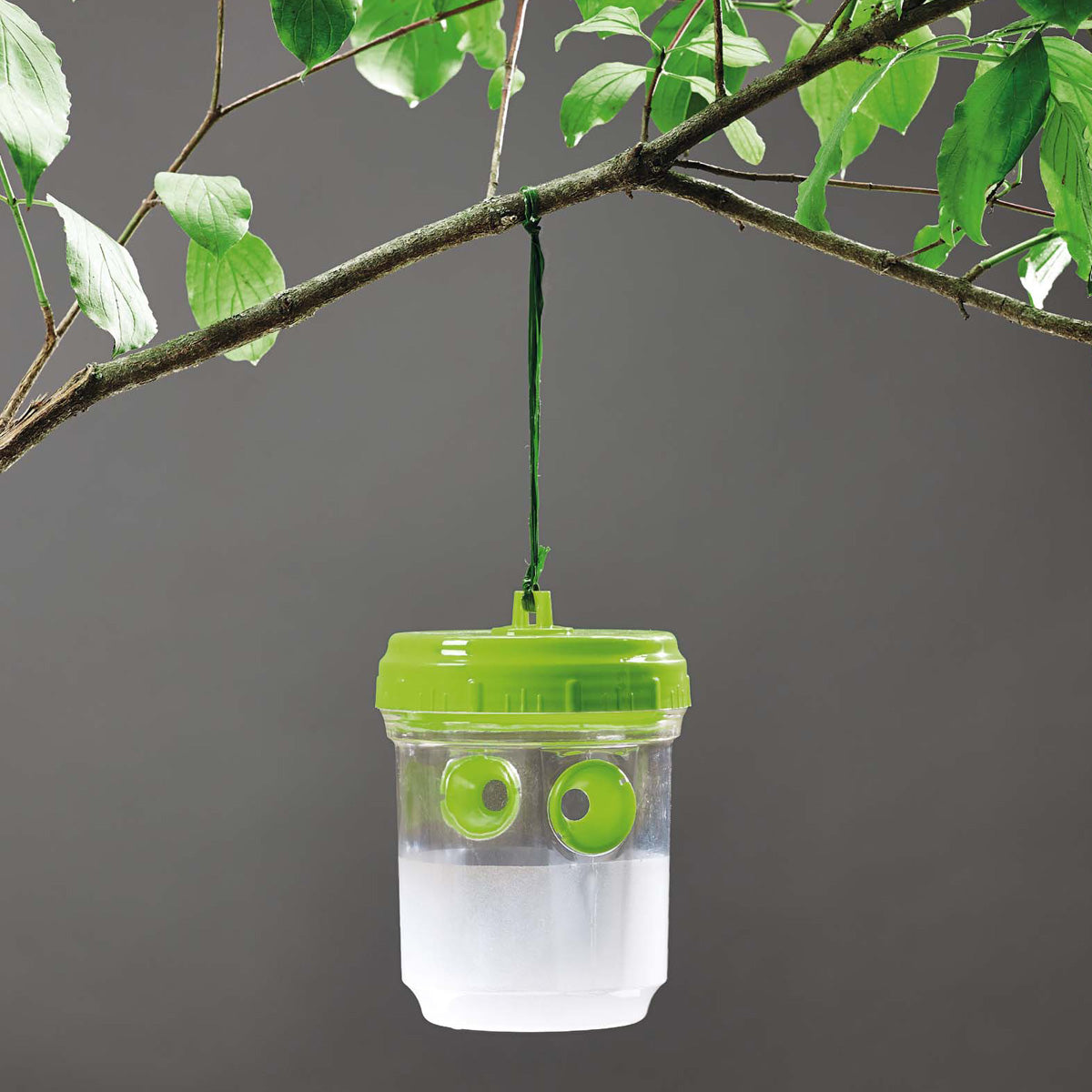 Fälla för myggor, getingar och fruktflugor, 2 st Verdemax