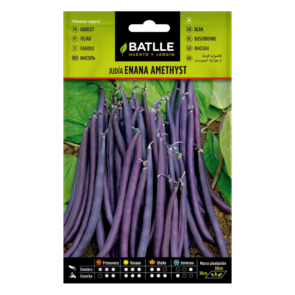 Bohnenkerne Enana Violeta Amethyst 25 g Batlle