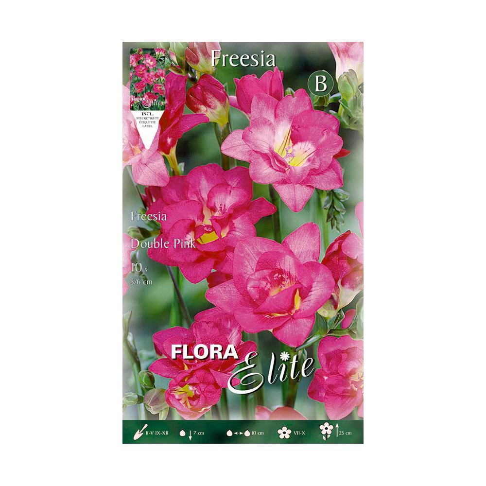 Freesia-lökar, dubbla violetta, 10 st