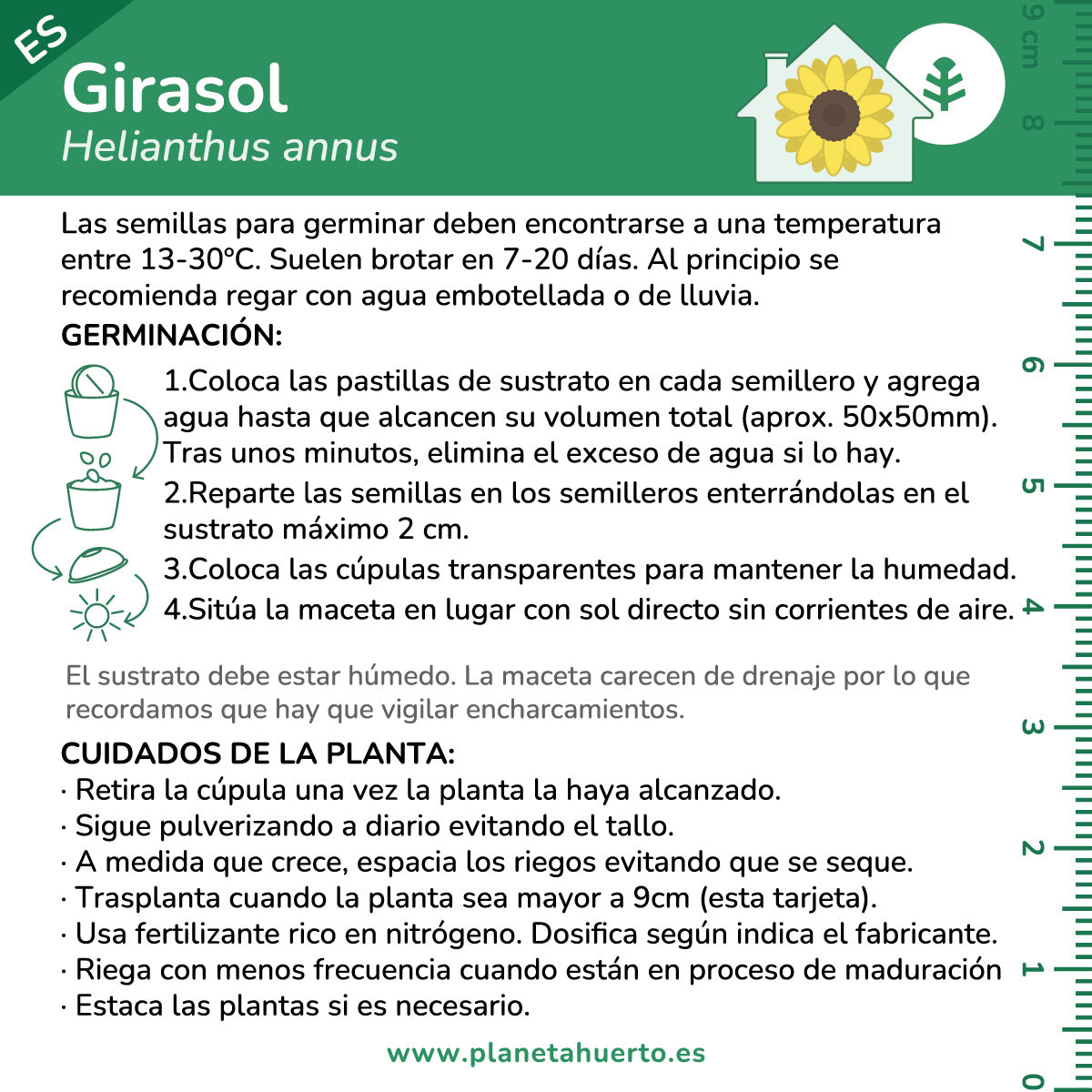Kit d'autoculture de tournesol Planeta Huerto