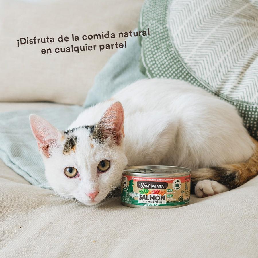 Boîte de saumon et de bœuf BARF pour chats Wild Balance 120 g