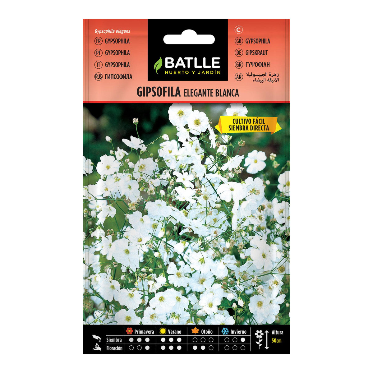 Nasiona eleganckiej białej gipsówki Batlle