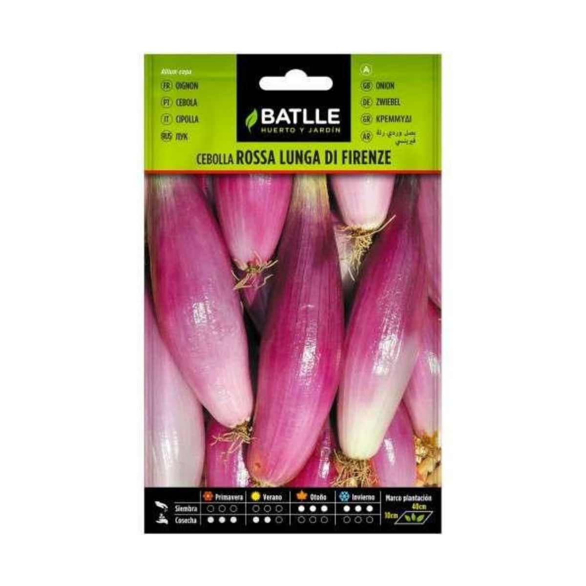 Lung Firenza Batlle Pink Onion Seeds