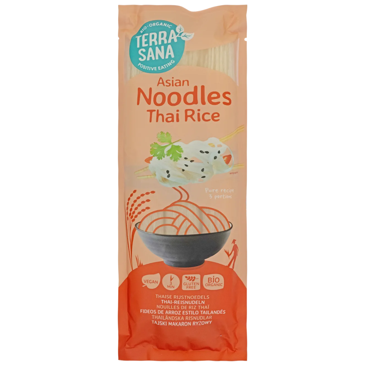 Spaghetti di riso Noodles Thai Terrasana 250 g