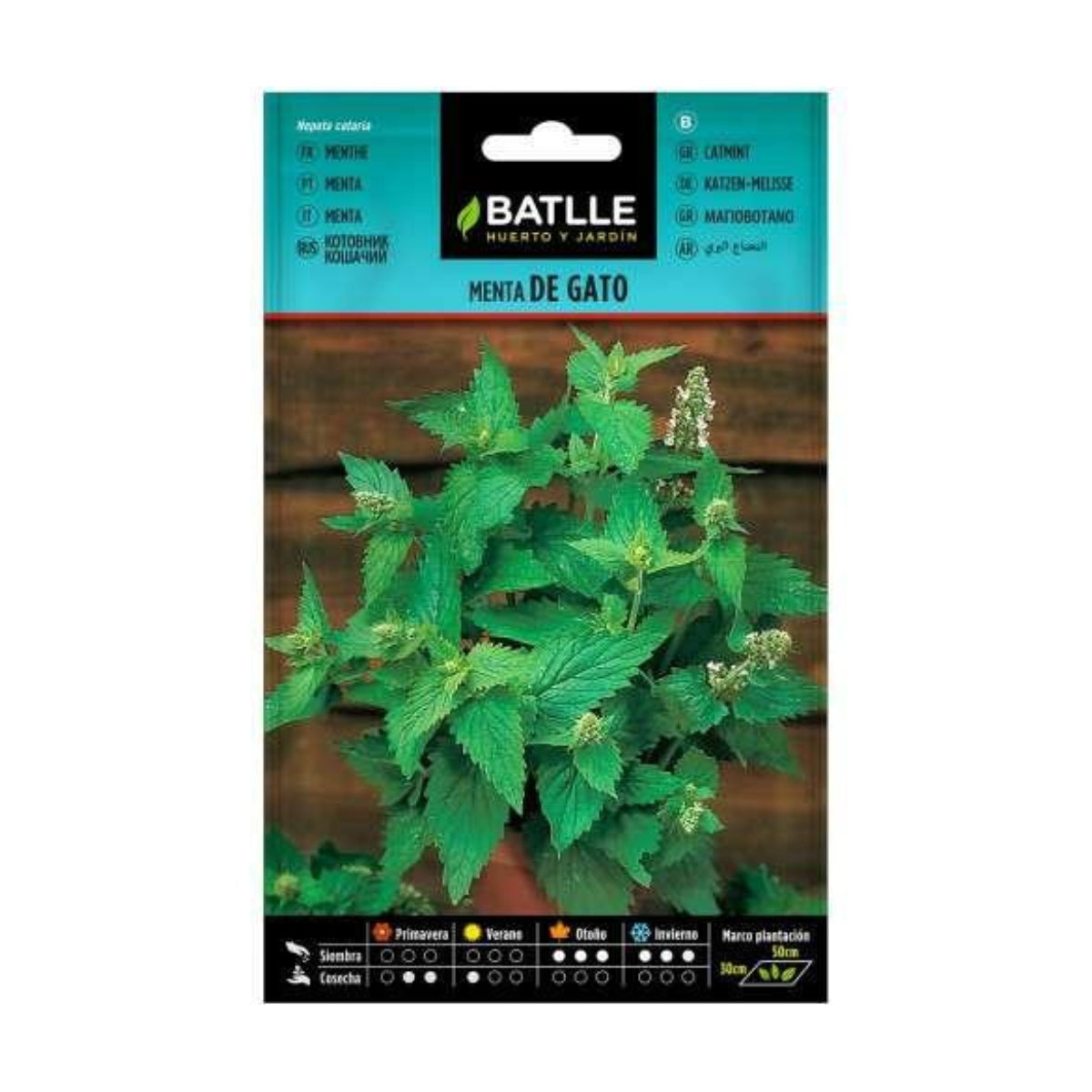 Kattenmuntzaadjes Batlle