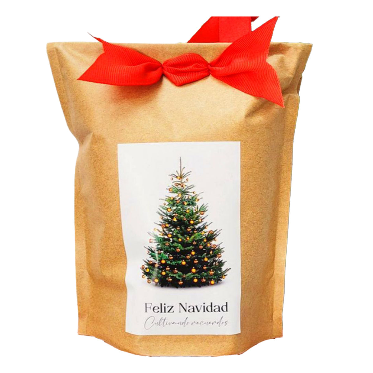 Kraft Christmas Tree Growing Kit, Unforgettable Gift Garden Pocket