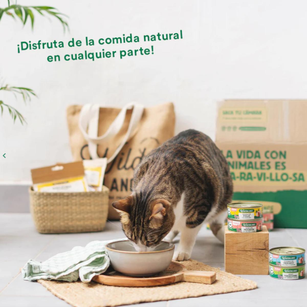 Boîte complète de ragoût traditionnel de bœuf et poulet pour chats Wild Balance 80 g