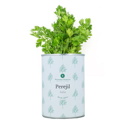 Anbausatz für aromatische Petersilie Planeta Huerto