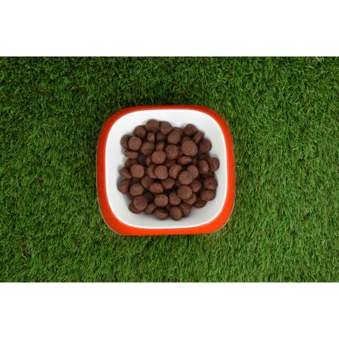 Natürliches getreidefreies Superpremium-Lachsfutter 2 kg Planeta Huerto