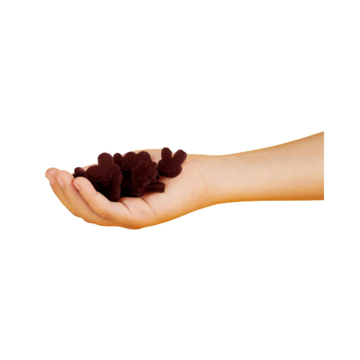 Snack aux pommes et myrtilles ECO 25 g, Triboo
