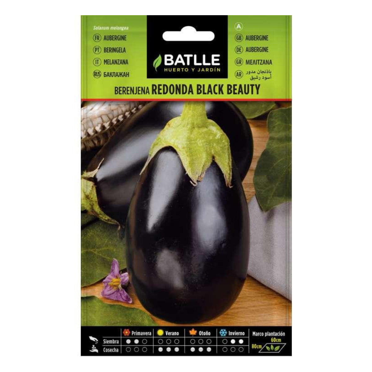 Frön av rund svart aubergine Batlle