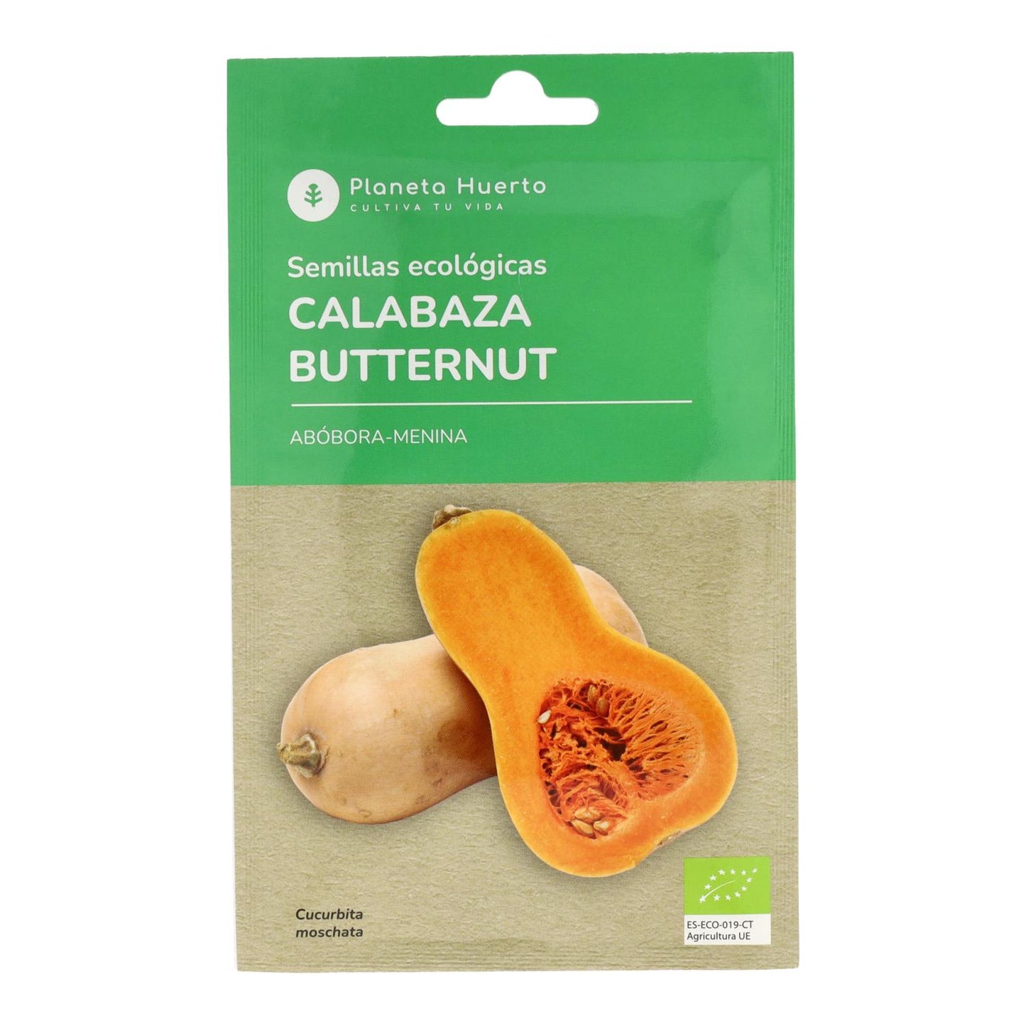 Graines de courge musquée bio Planeta Huerto