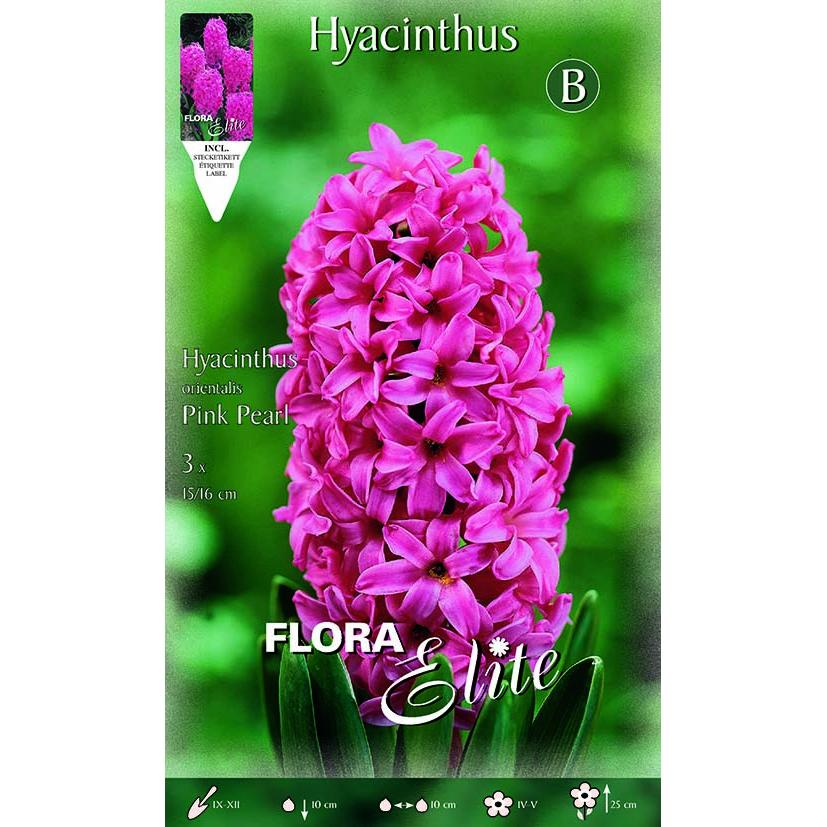Lökar Rosa hyacint 3 st