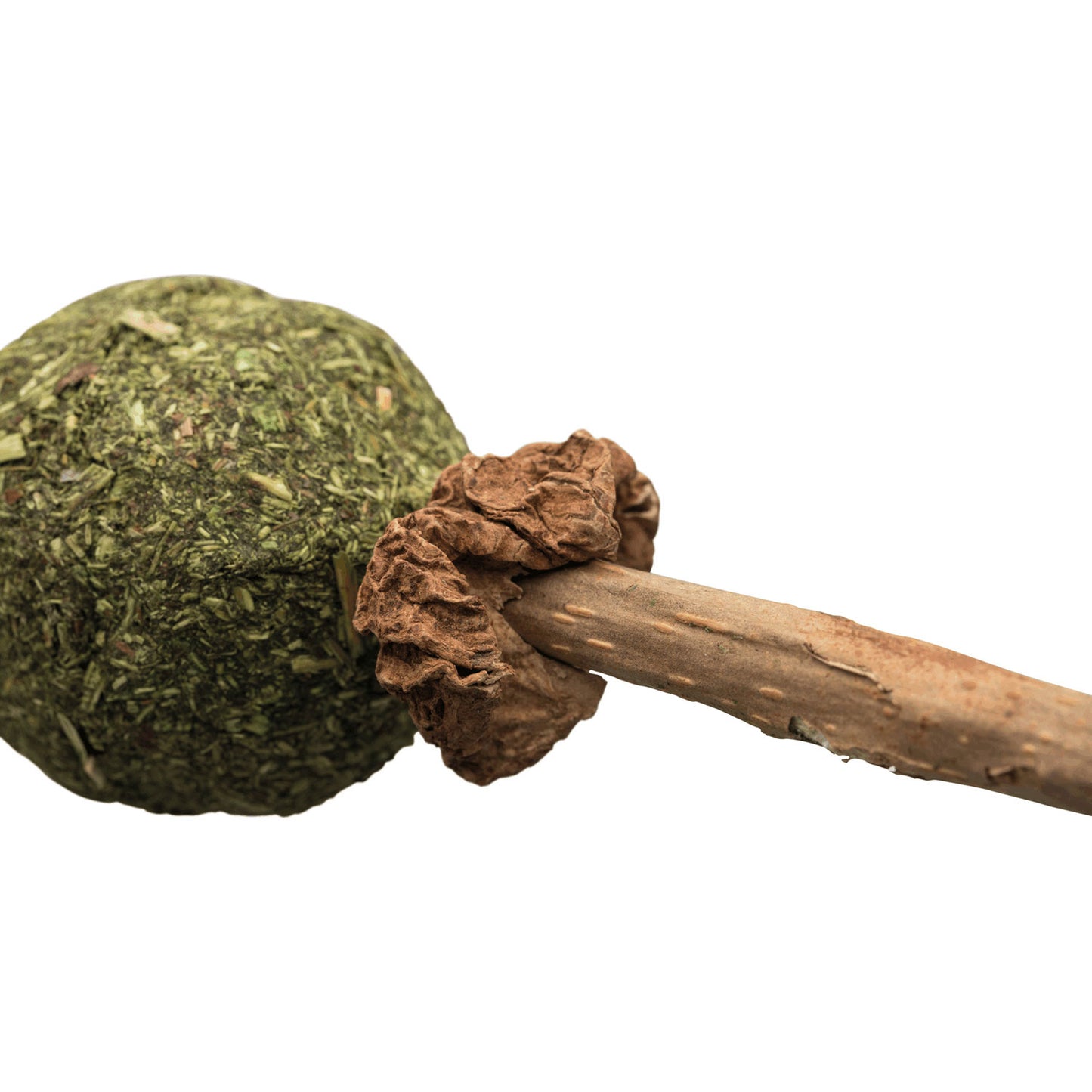 Matatabi-lollipop, Trixie 11 cm