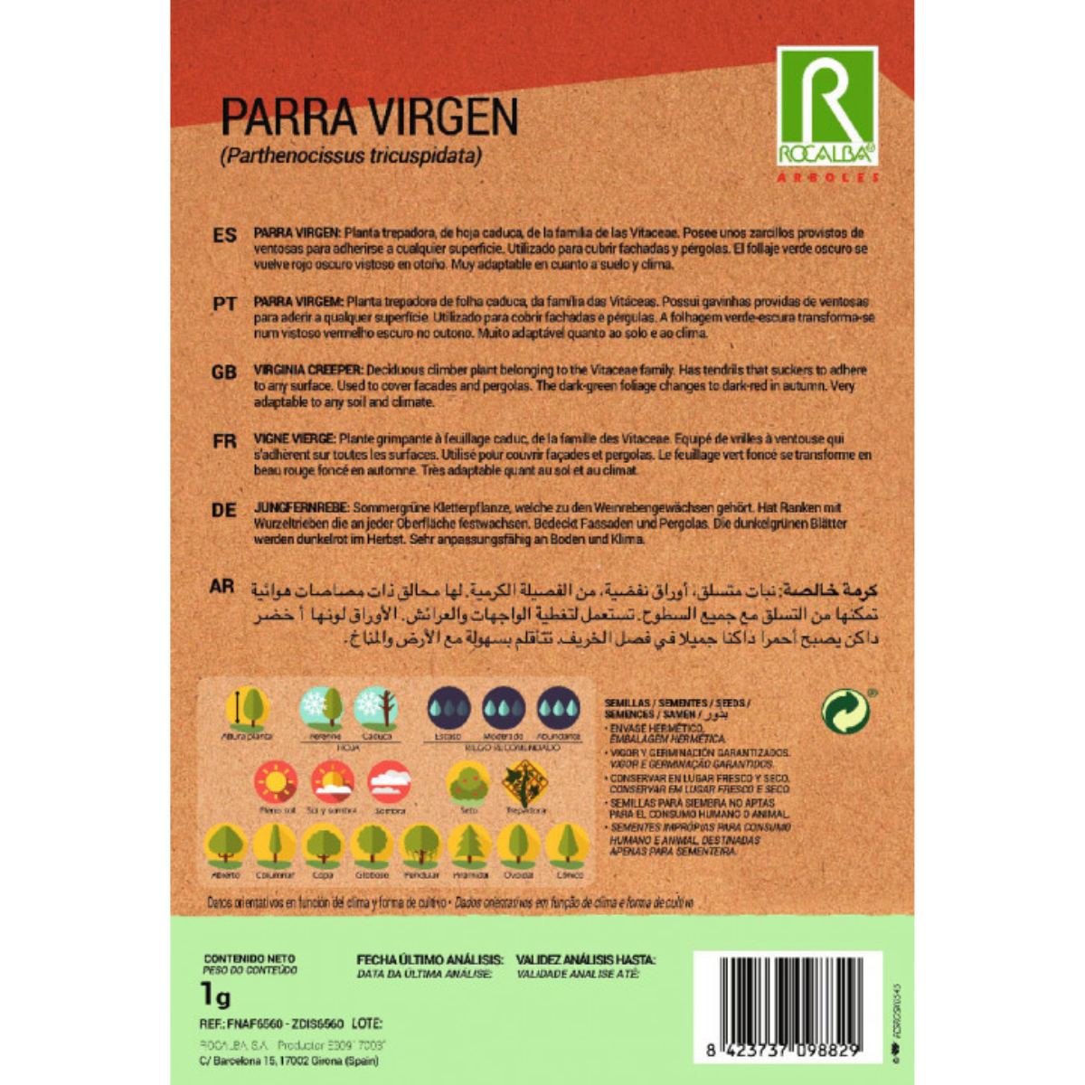 Nasiona winorośli dziewiczej Parthenocissus tricuspidat