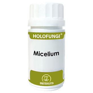 Holofungi Myzel, Equisalud 50 Kapseln