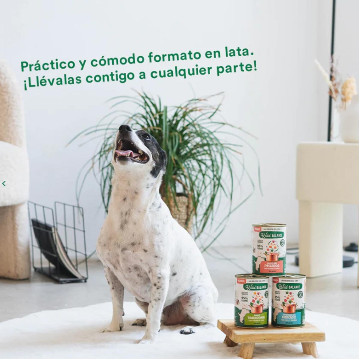 Pack 6X Ragoût du marché à la dinde et au bœuf pour chiens Wild Balance 400 g