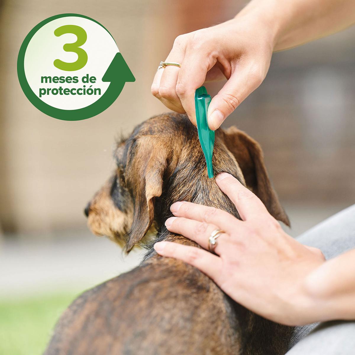 Pipette repellenti antiparassitarie naturali per cani di taglia media 3x2 ml