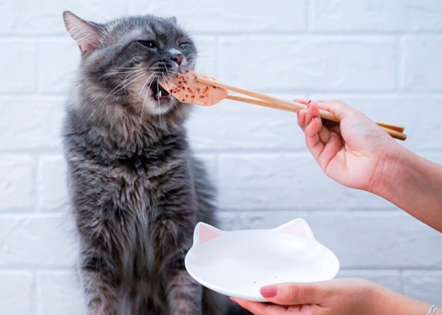 Kit Cat FilletFresh - Thon et poisson fumé 30 g Snack naturel pour chats