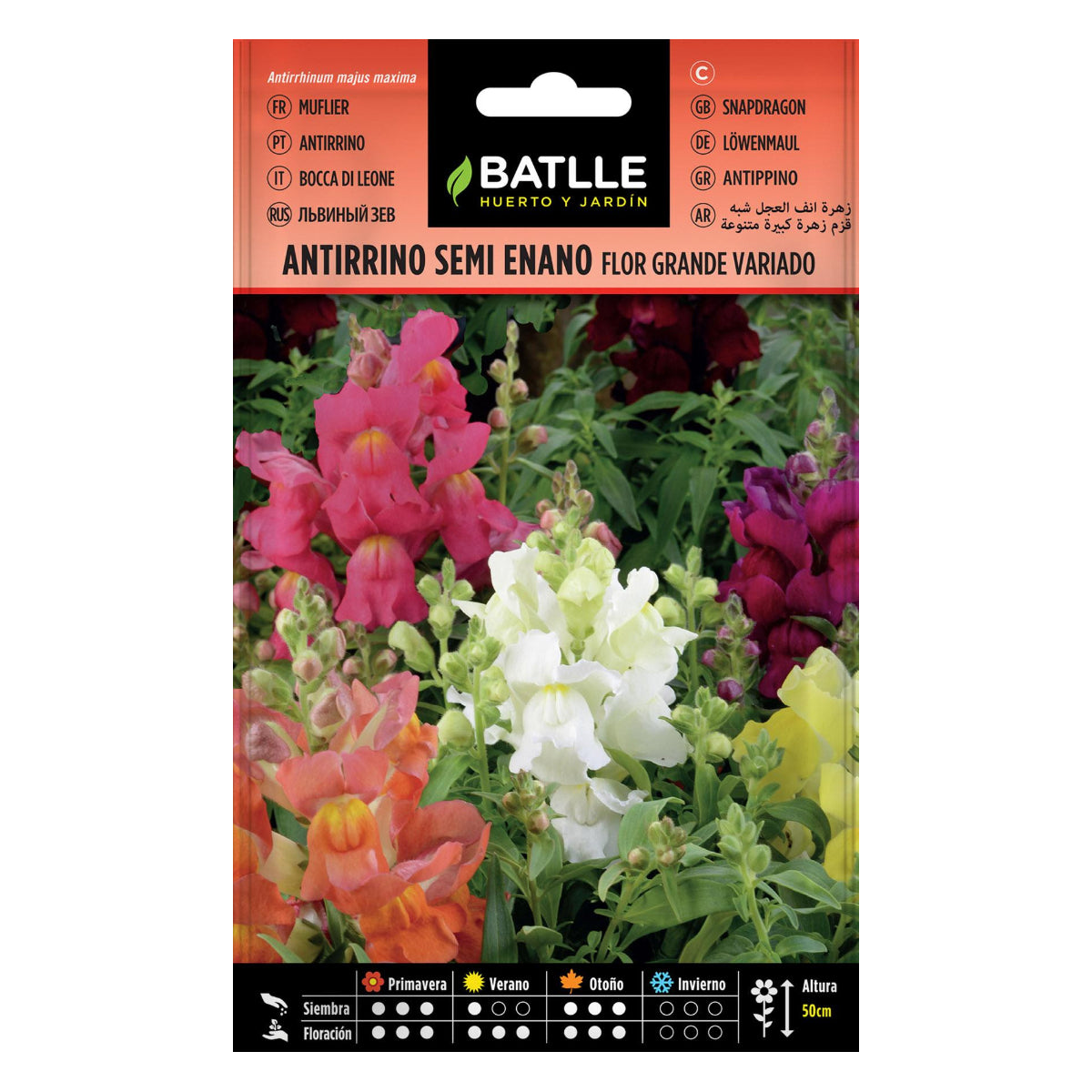 Semi di Antirrino semi nano Batlle