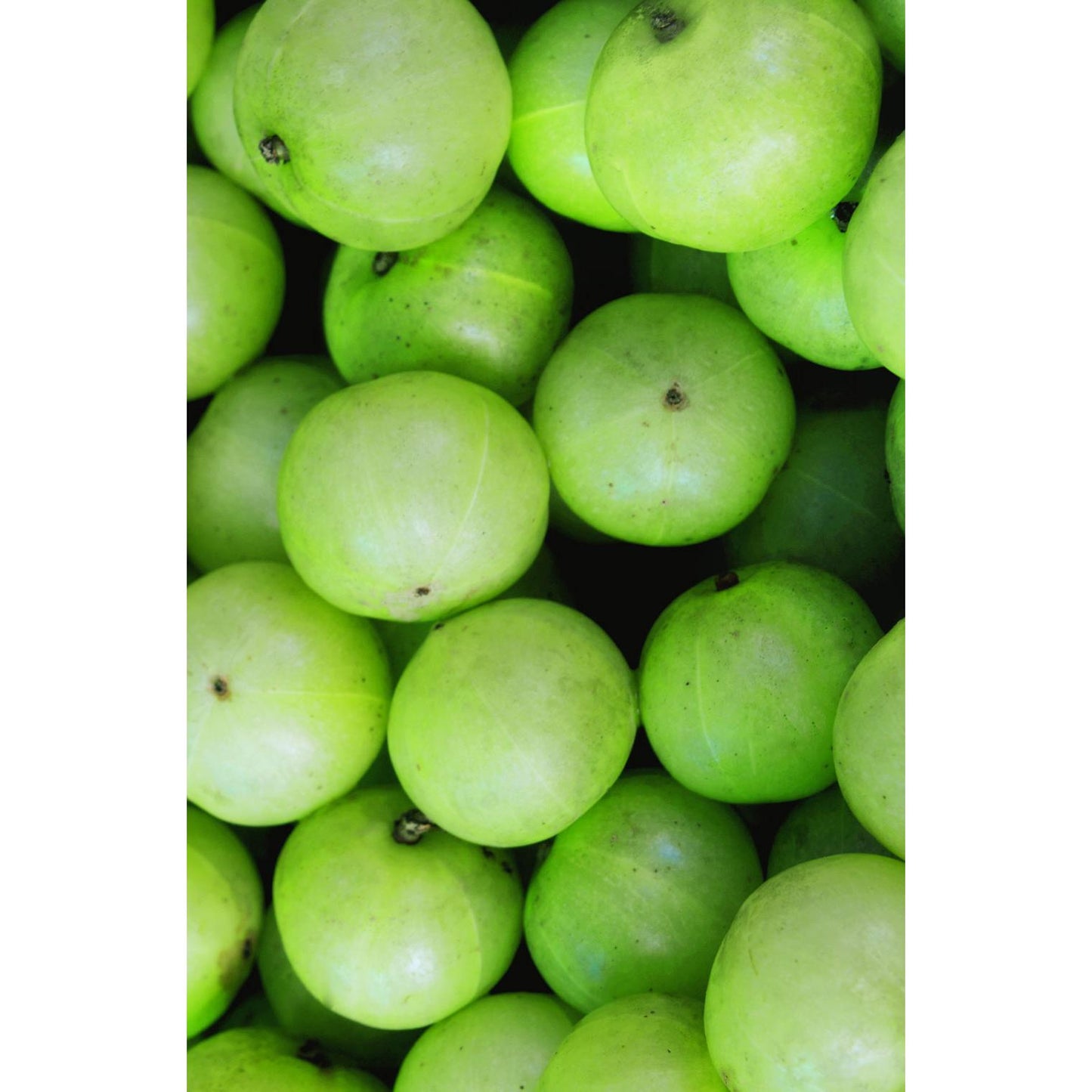 Khadi Amla Volymschampo 200 ml